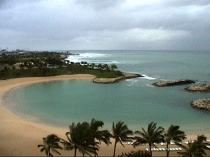 Hawaii5.gif