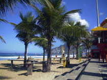 Rio3.gif