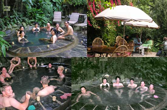 ���C�����؃K�[�f���̘I�V���C